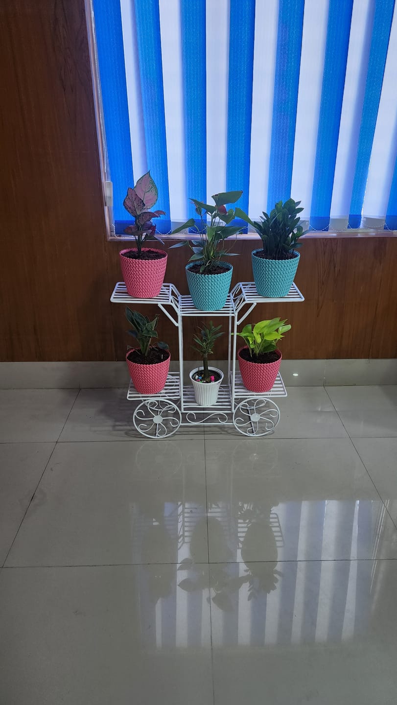 Customer photo review of 6-Tier Cart Planter Stand, Outdoor Flower Rack