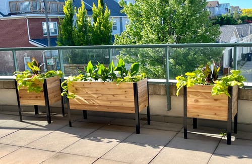 Customer photo review of 18″ x 24″ Raised Garden Bed