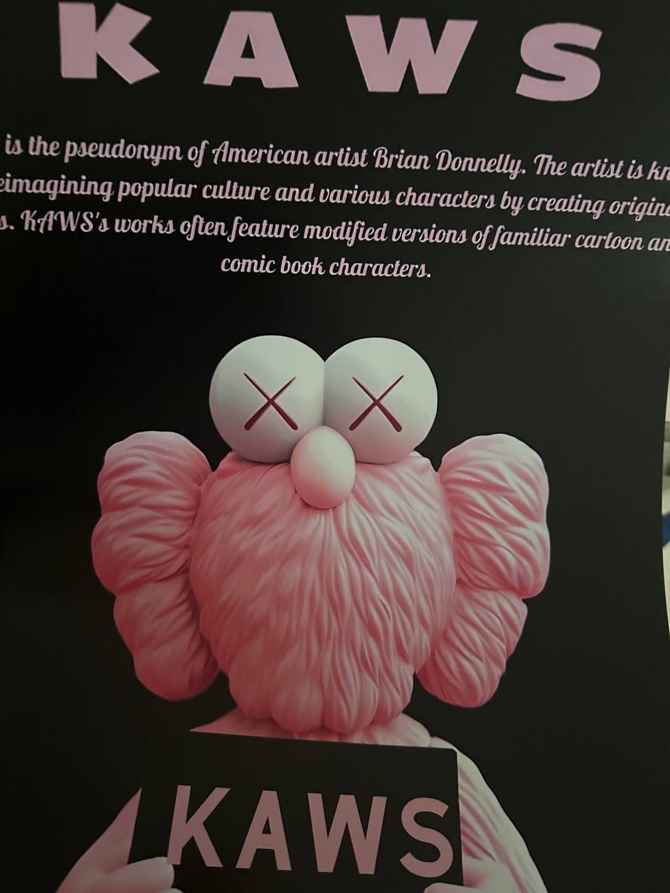Customer photo review of Pink Kaws - Sign -Poster