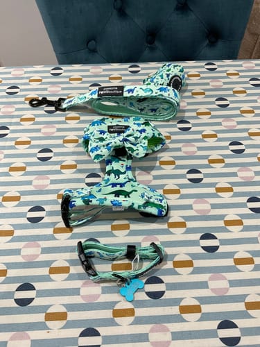 Customer photo review of Lead – Dinky Dino