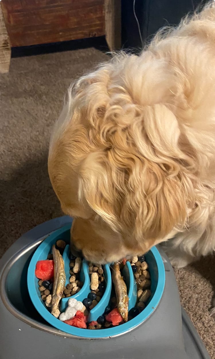 Customer photo review of Capelin