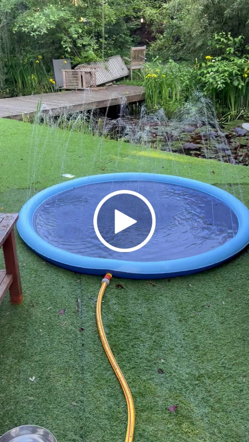 Customer video review of Sprinkler Wasserspielmatte für Hunde