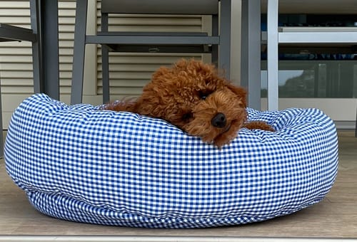 Customer photo review of Cuccia Tonda Cotone Vichy