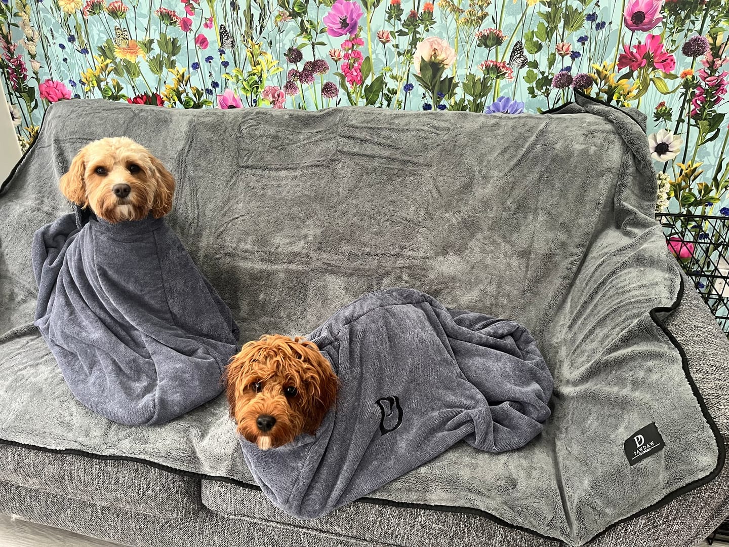 Customer photo review of Luxury Dog Paw Towels