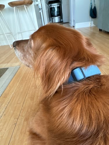 Customer photo review of Great Lakes Blue Collar - Recycled Ripstop