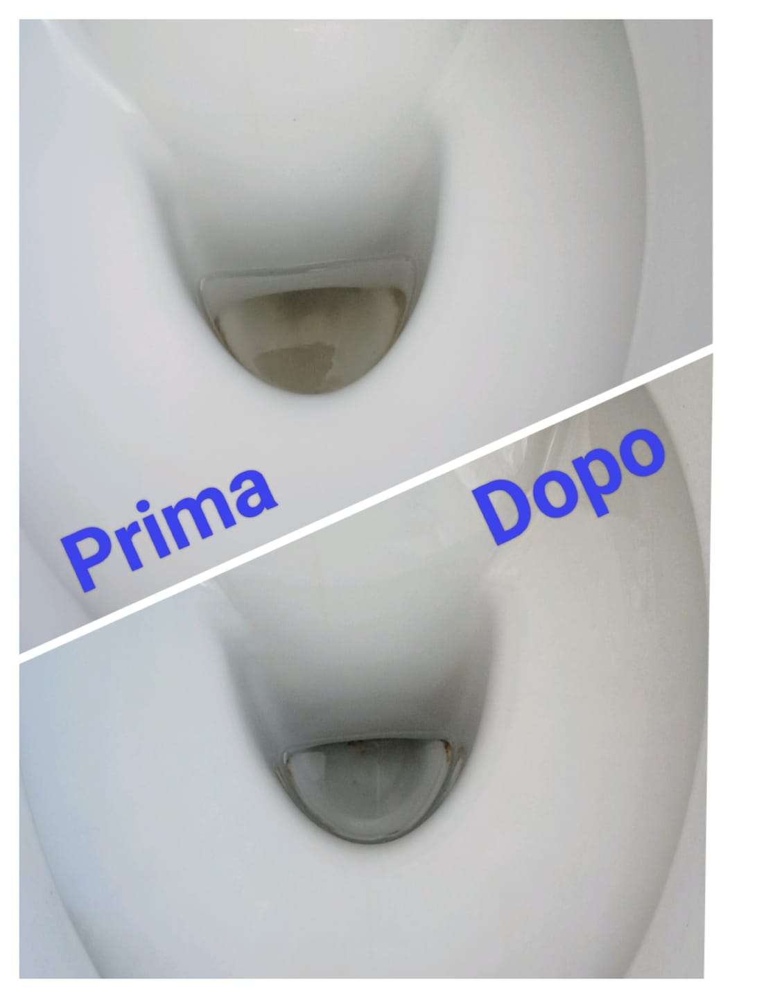 Customer photo review of Acido Citrico Anidro OH