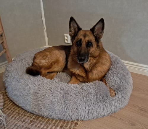 Customer photo review of CalmBed - Motverkar stress & hjälper mot ångest