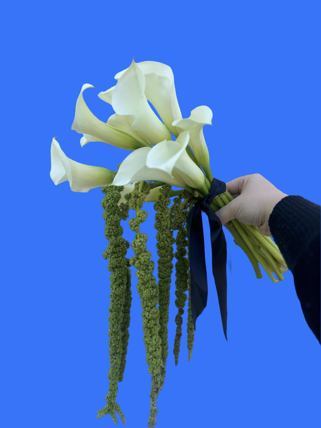 Customer photo review of Hanging Green Amaranthus