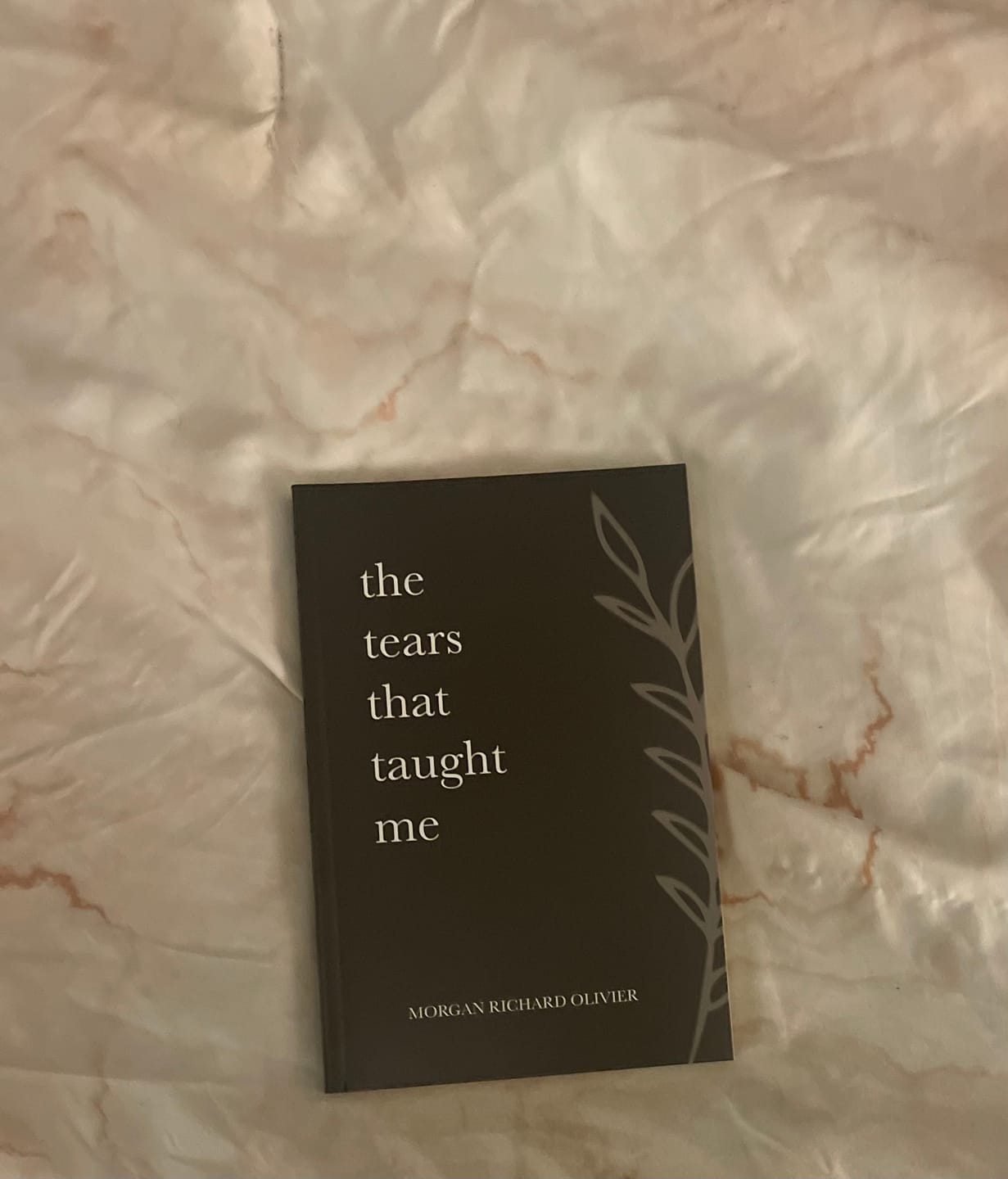 Customer photo review of The Tears That Taught Me (Paperback)
