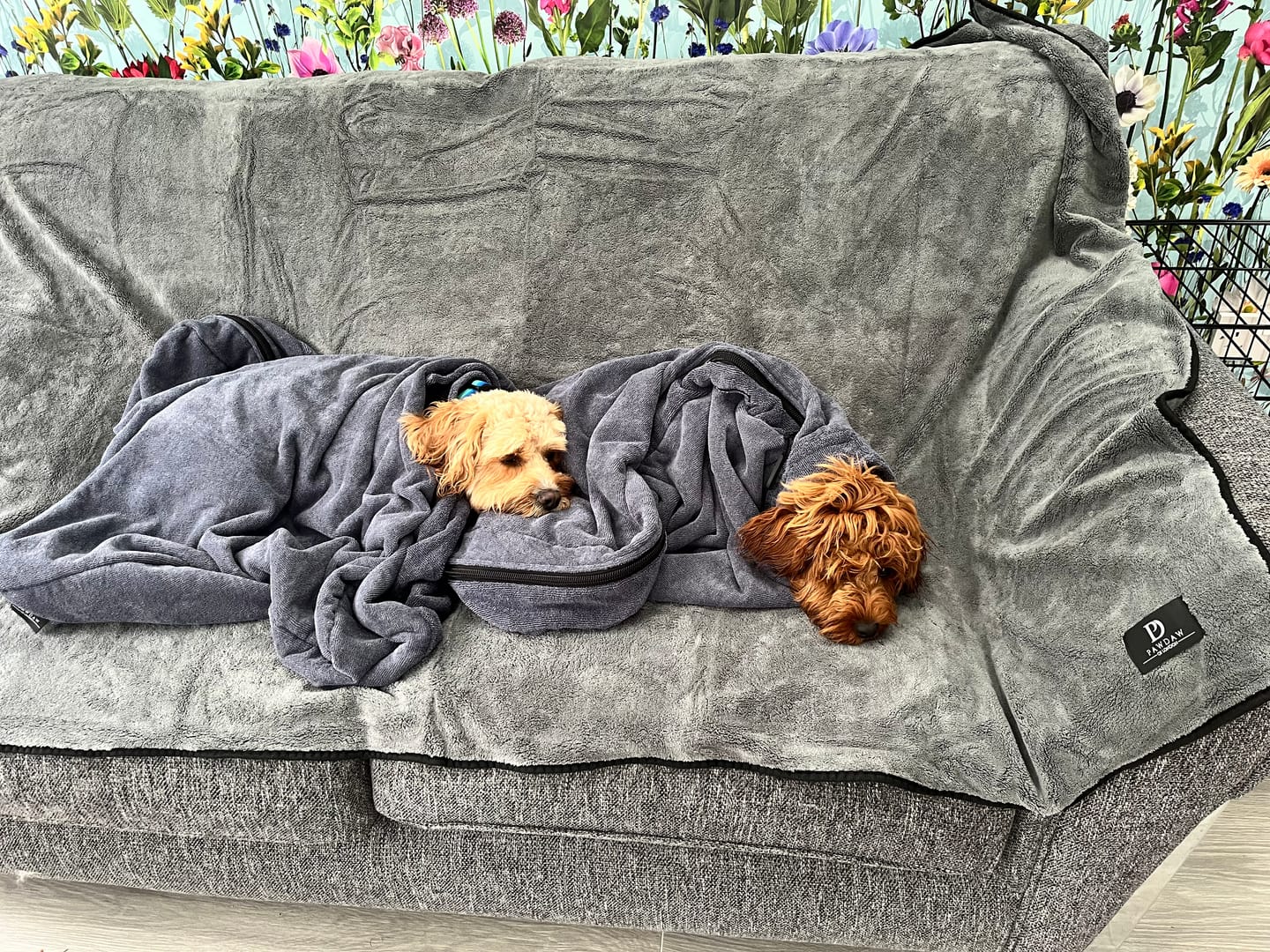 Customer photo review of Luxury Throw & Dog Blanket