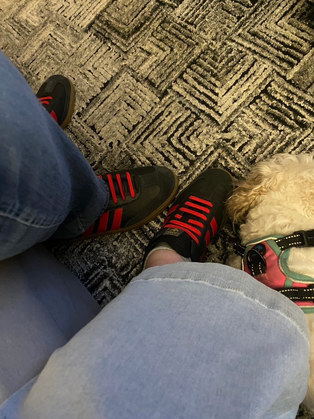 Customer photo review of uLace Slims - Scarlet Red