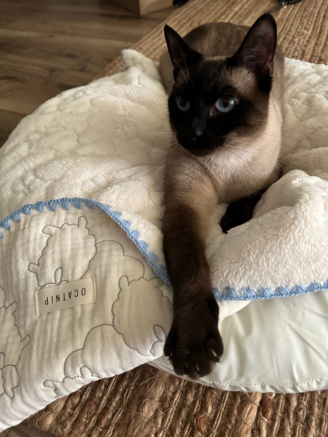 Customer photo review of Baa Baa Blanket