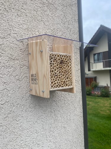 Customer photo review of BeeHome Classic