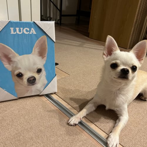 Customer photo review of Petcanvaオーダーメイド ペット似顔絵