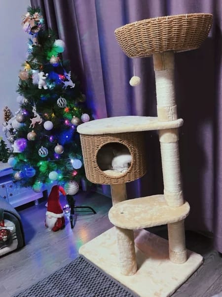 Customer photo review of Arbre à Chat - Reve Felin