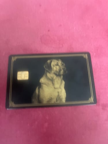 Customer photo review of Customizer Product