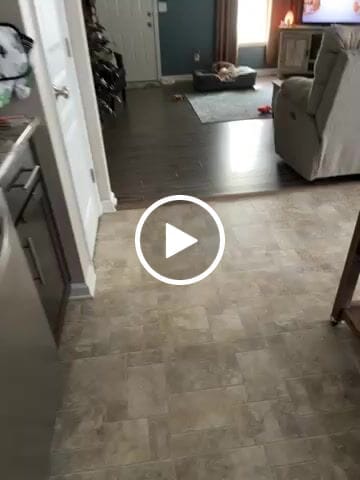 Customer video review of [ORIGINAL] Replacement Dimmer Cord/Wire For All Salt Lamps