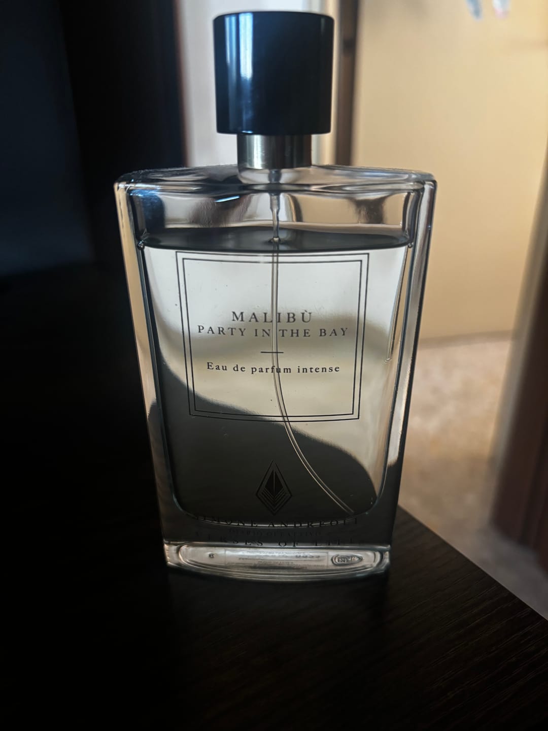 Customer photo review of SIMONE ANDREOLI - MALIBU PARTY IN THE BAY