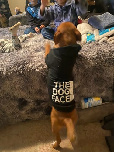 Customer photo review of "The Dog Face" Pullover