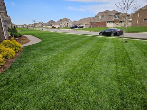 Customer photo review of Cool Season Lawn Care Guide
