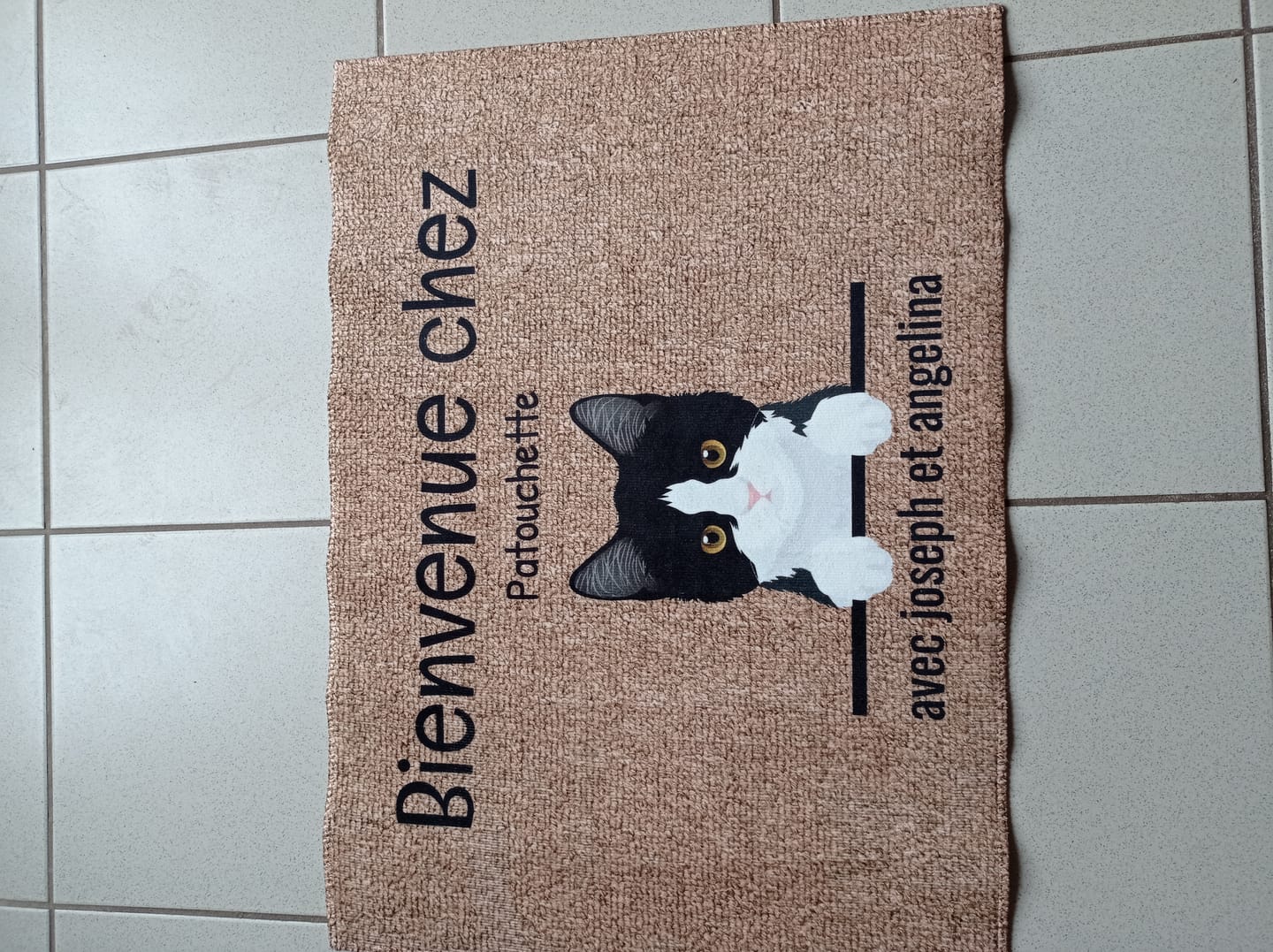Customer photo review of Tous mes amis à poils - Paillasson personnalisé