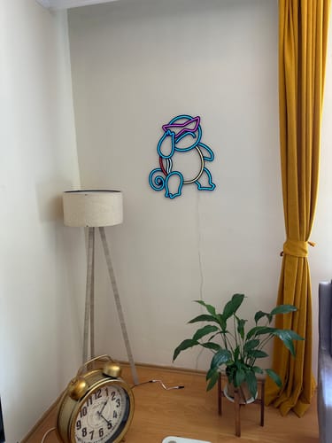 Customer photo review of Squirtle