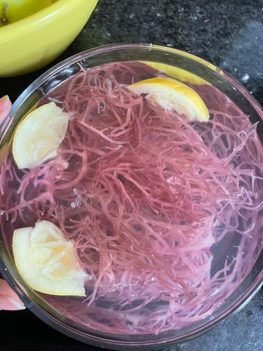 Customer photo review of Raw Royal Purple Sea Moss