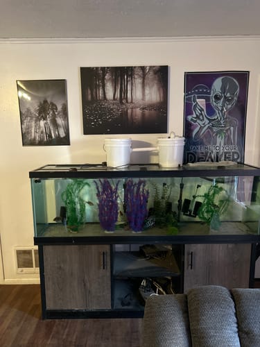 Customer photo review of Upload Your Own Image