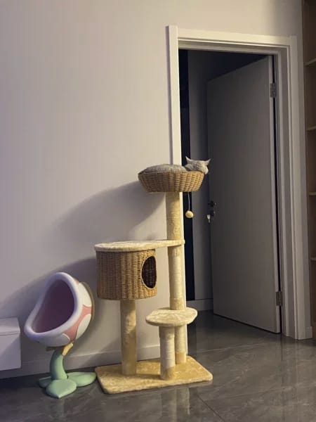Customer photo review of Arbre à Chat - Reve Felin