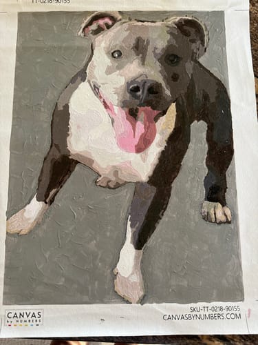Customer photo review of Custom Paint by Numbers Kit for Personalized Artwork