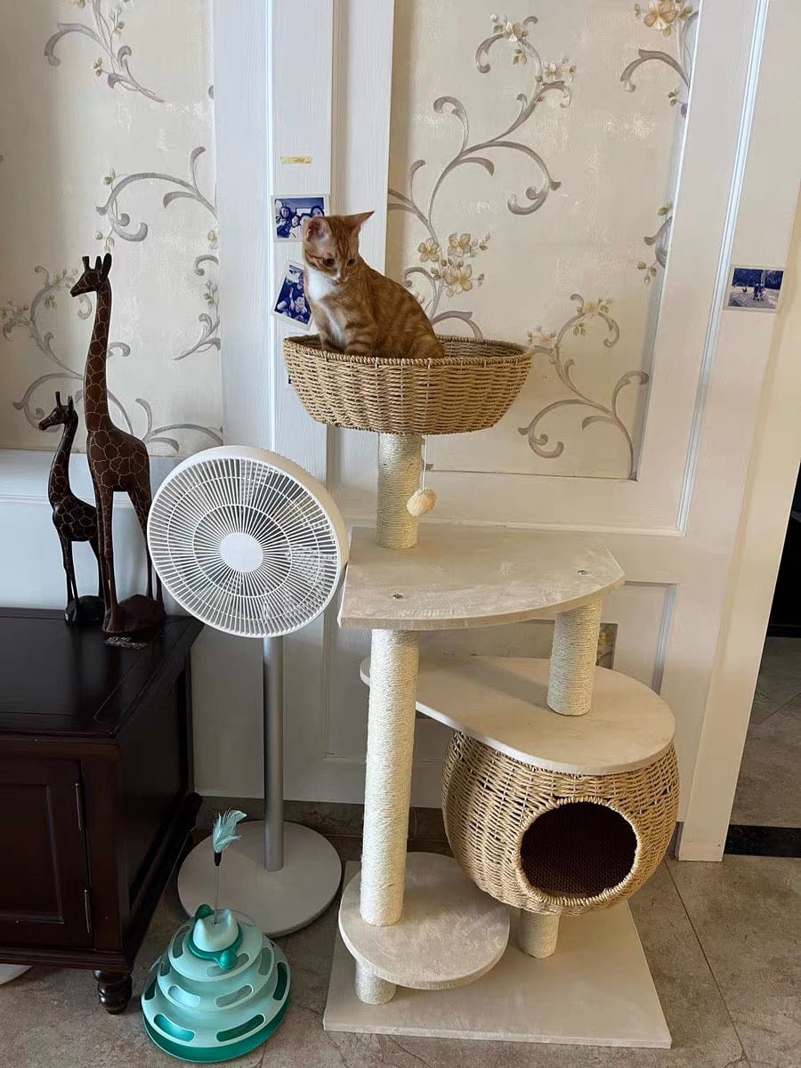 Customer photo review of Arbre à Chat - Escapade Etoilée