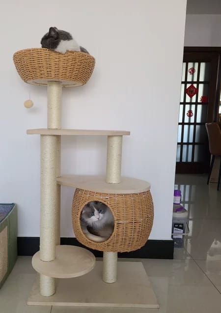 Customer photo review of Arbre à Chat - Escapade Etoilée