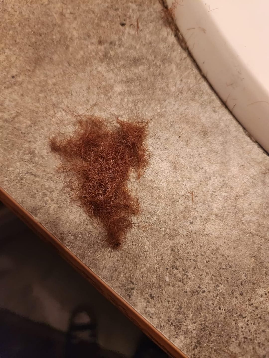 Customer photo review of SilkyTrim - Hårtrimmer til spaltede spidser