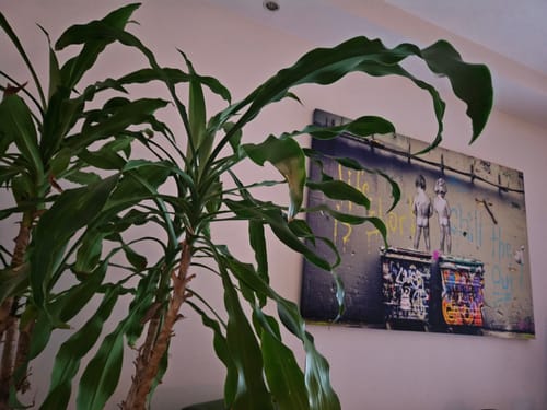 Customer photo review of Graffito bimbi trasgressivi