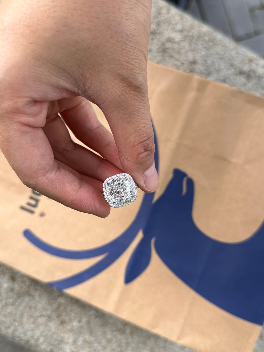 Customer photo review of Louily Luxury Double Halo Three Shank Cushion Cut Engagement Ring
