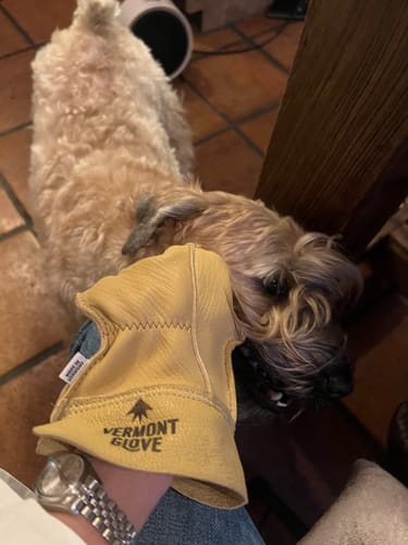 Customer photo review of The Vermonter