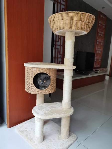 Customer photo review of Arbre à Chat - Reve Felin