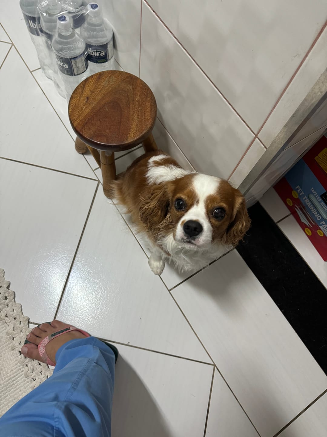 Customer photo review of Desodorante Longa Duração