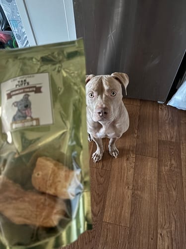 Customer photo review of Medium Wild Salmon CBD Oil - 350 MG : 1 OZ : Healthy Hips & Joints Care Formula CBD for dogs and cats