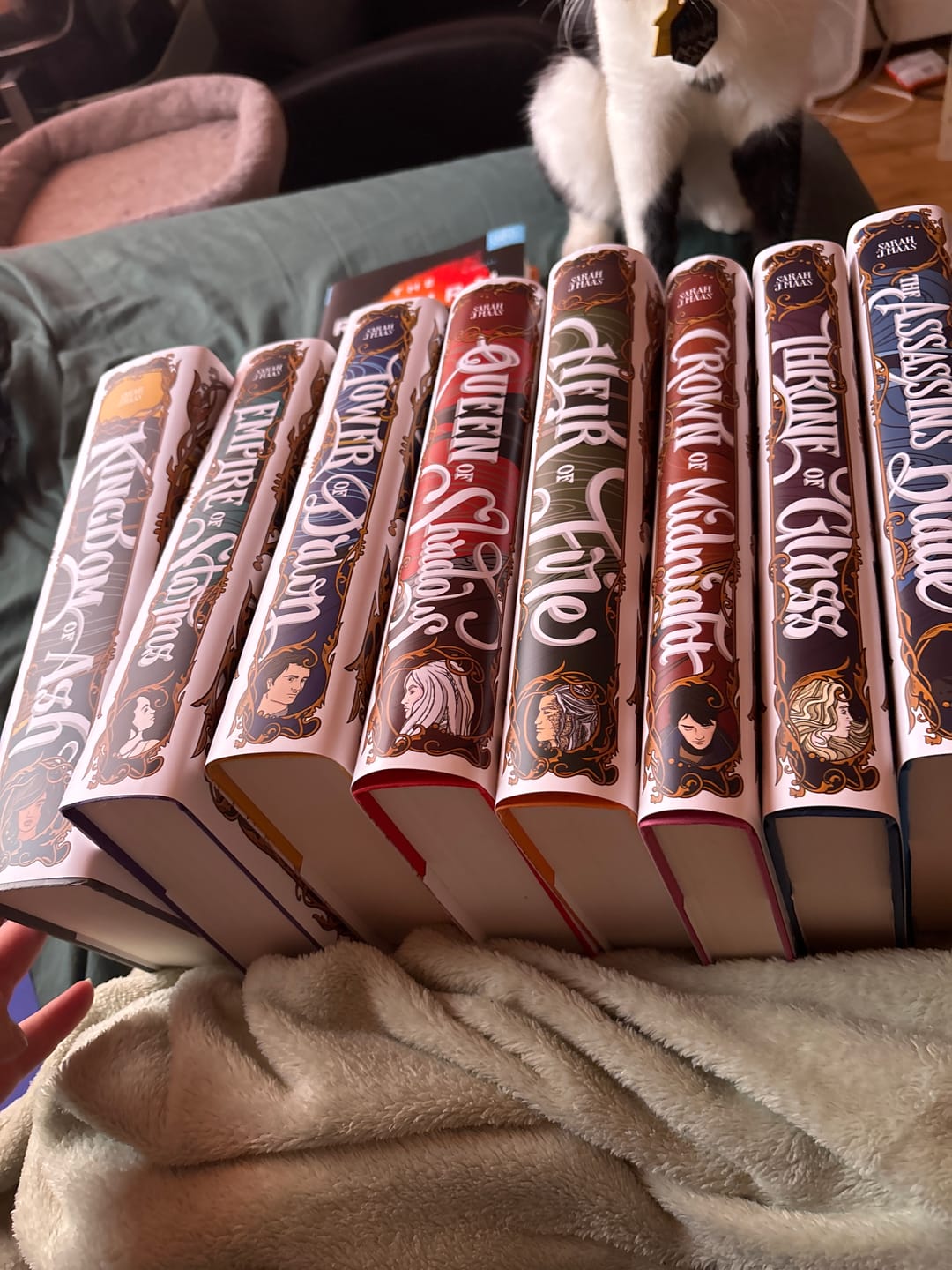 Customer photo review of Throne of Glass Dust Jackets