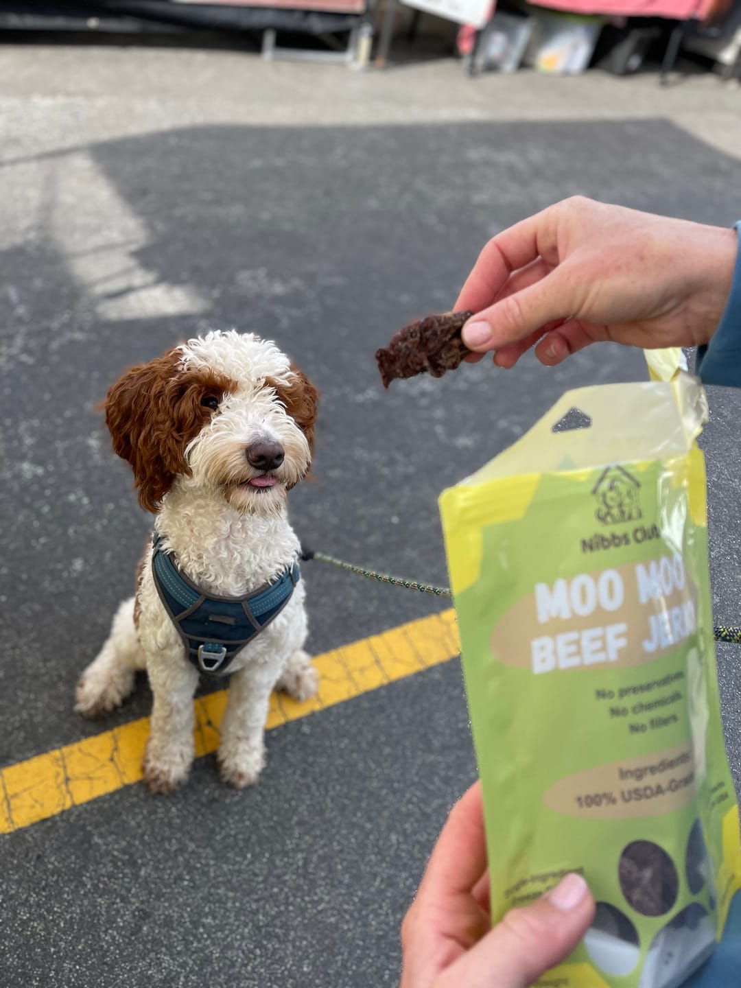 Customer photo review of Moo Moo Beef Jerky