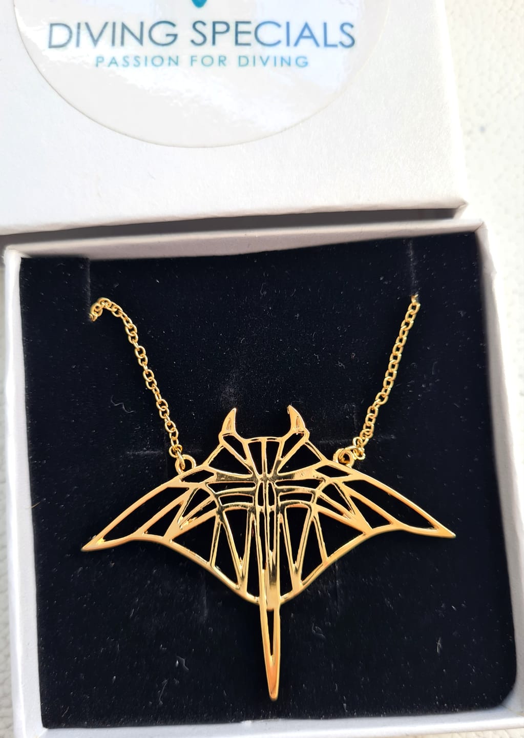 Customer photo review of Manta Ray Necklace - Large silver or gold