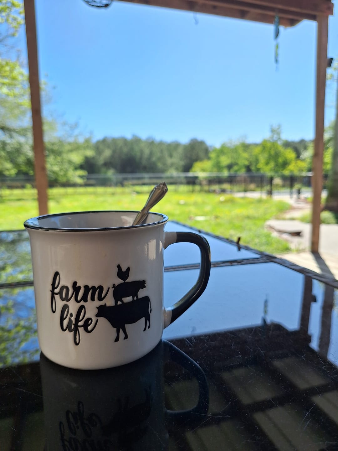 Customer photo review of Sleepy Bunny Decaf Blend (Bean)