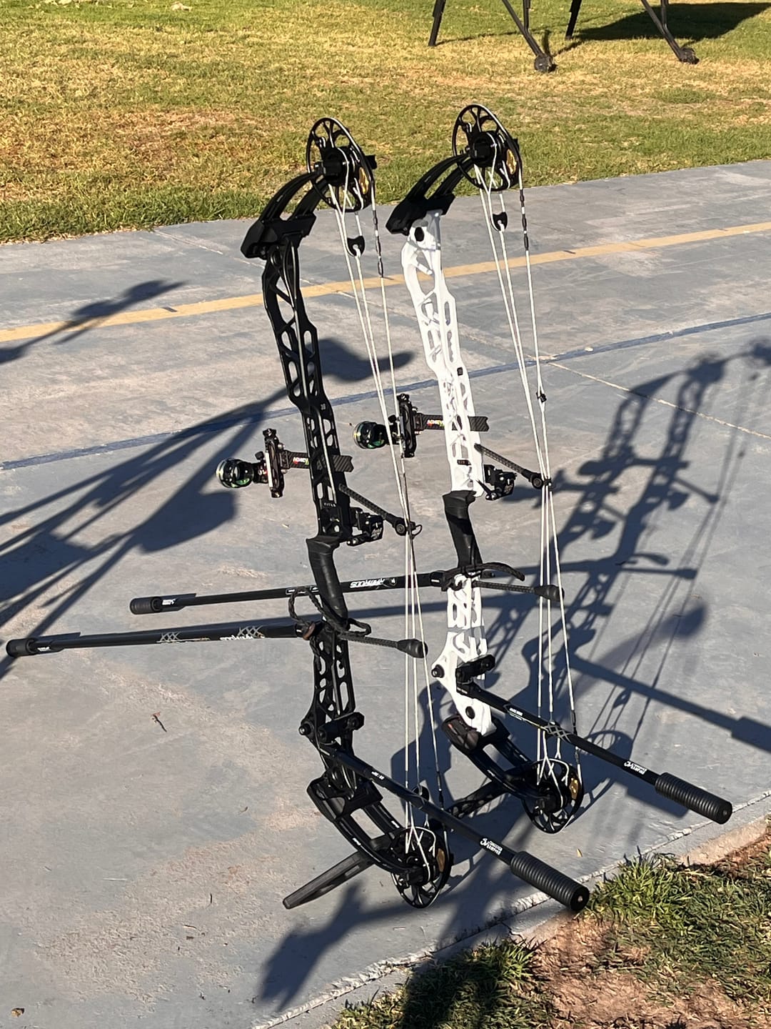 Customer photo review of Beast