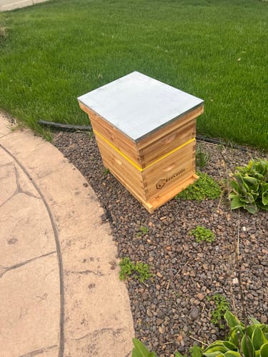 Customer photo review of BeeCastle Hives 8 Frame Beeswax Coated Beehive 1 Deep, 1 Medium Bee Box With Wooden Frame And Beeswax Plastic Foundation