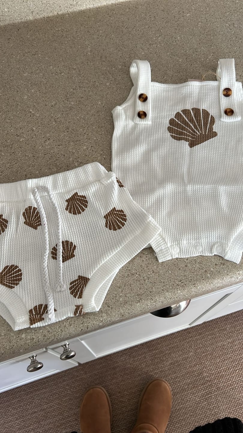 Customer photo review of Seashell Set