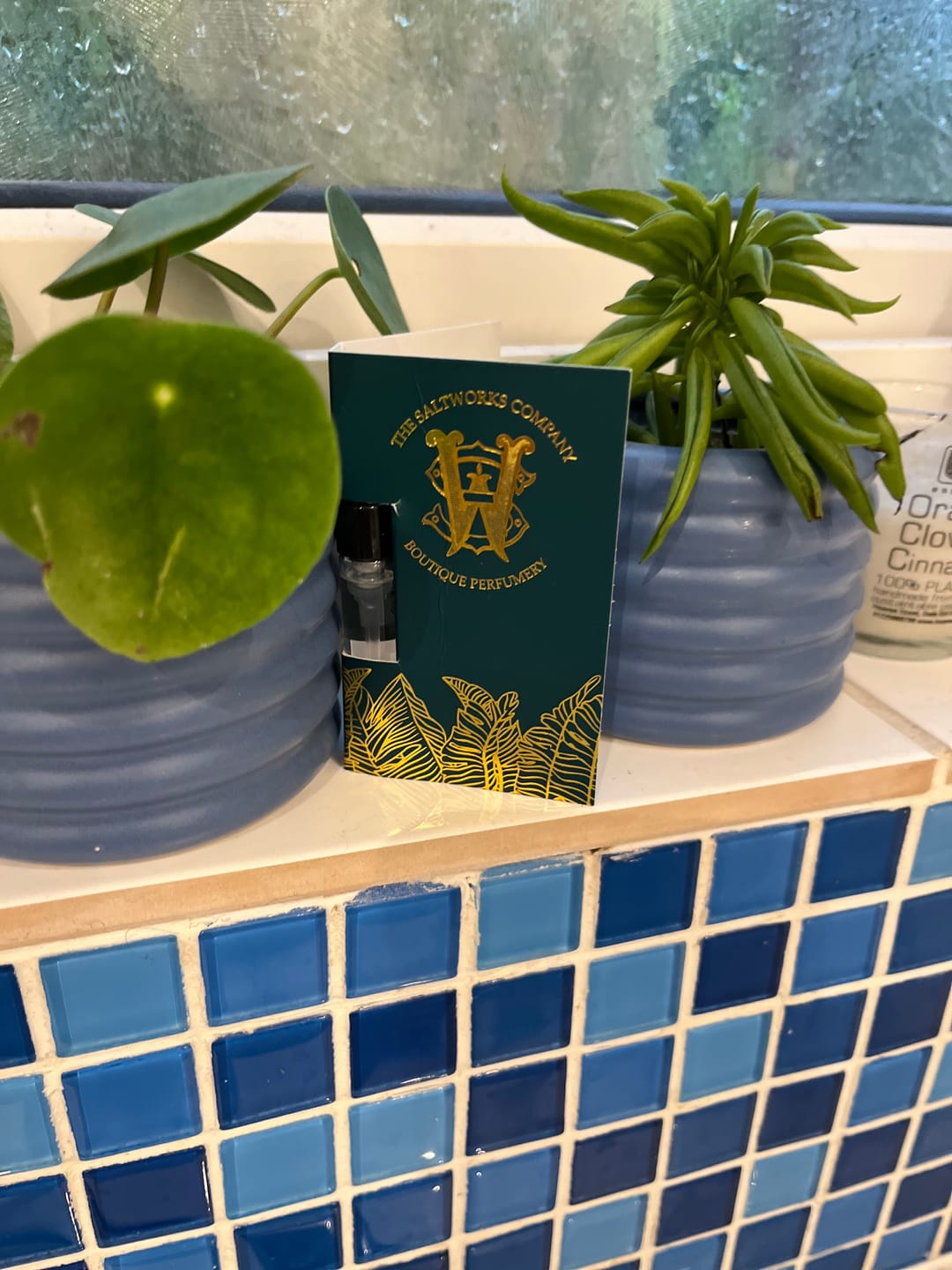 Customer photo review of Lilypond Pear