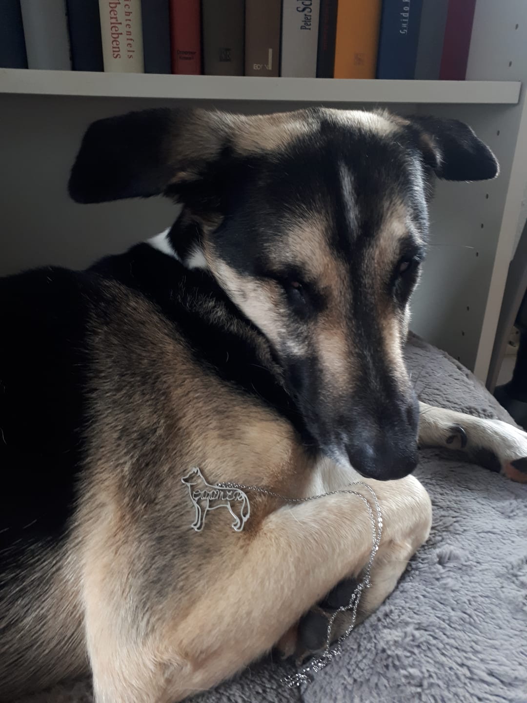 Customer photo review of Hundesilhouette - Individuelle Halskette