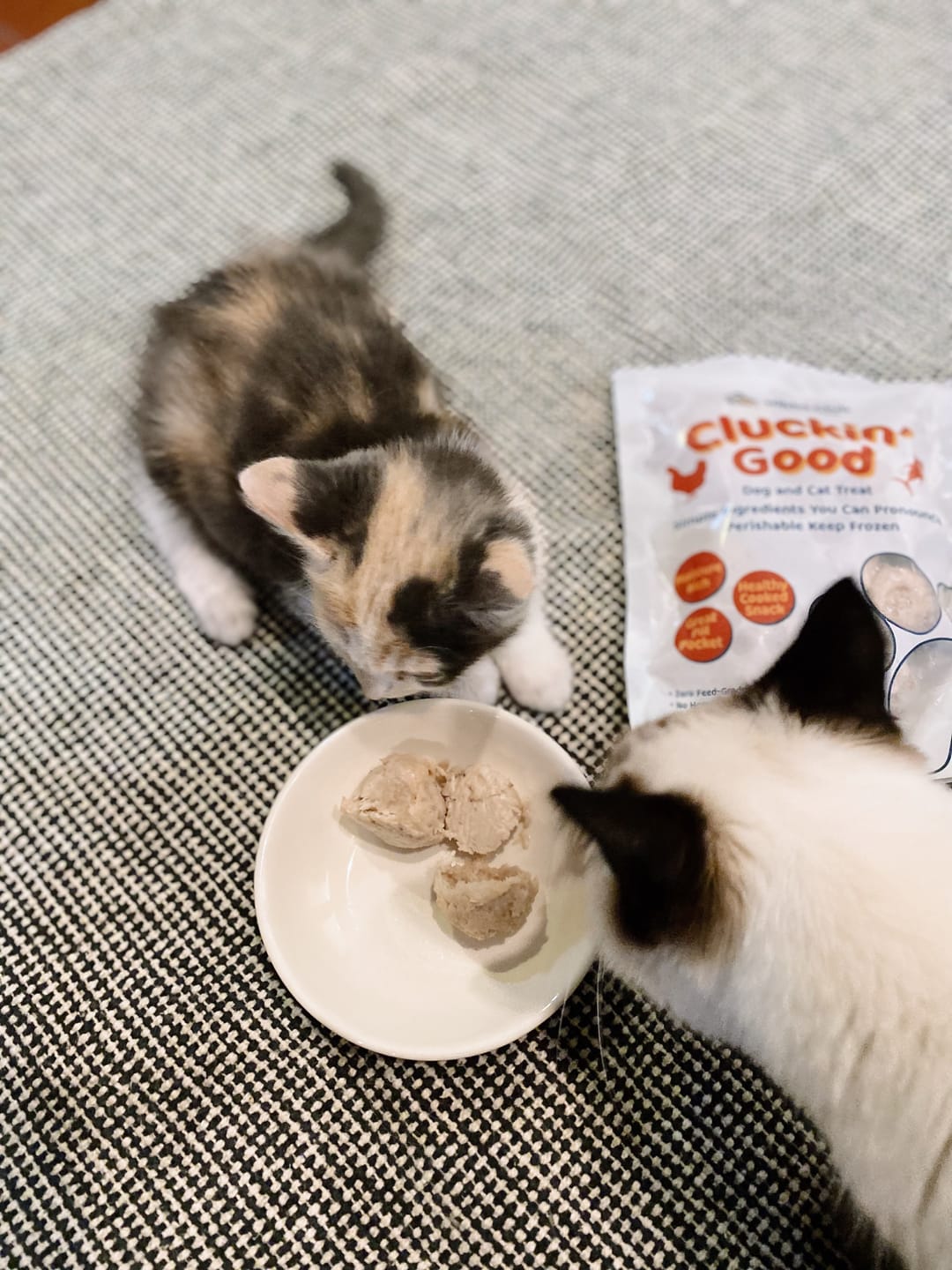 Customer photo review of Cluckin' Good