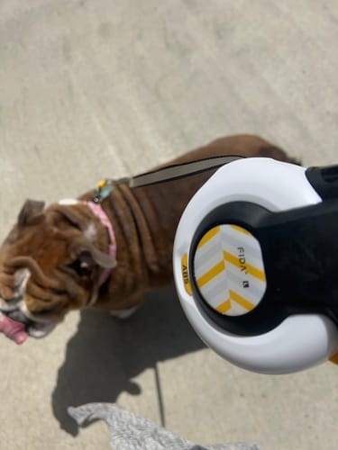 Customer photo review of Fida AutoBrake Leash
